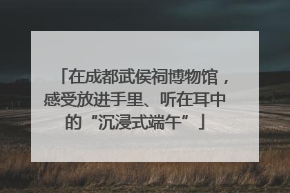 在成都武侯祠博物馆，感受放进手里、听在耳中的“沉浸式端午”