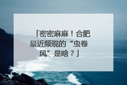 密密麻麻！合肥最近频现的“虫卷风”是啥？