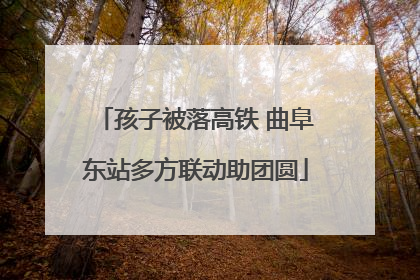 孩子被落高铁 曲阜东站多方联动助团圆