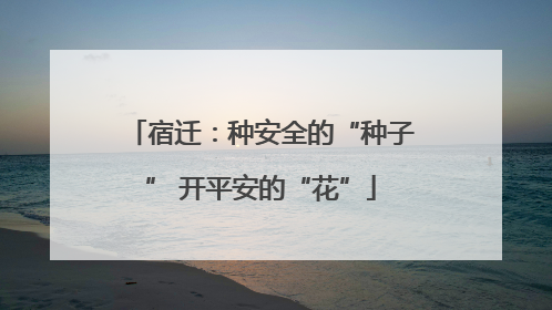 宿迁：种安全的“种子” 开平安的“花”