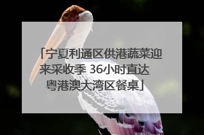 宁夏利通区供港蔬菜迎来采收季 36小时直达粤港澳大湾区餐桌