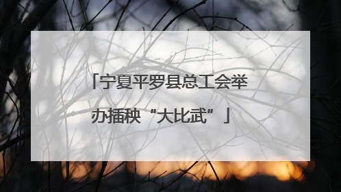 宁夏平罗县总工会举办插秧“大比武”