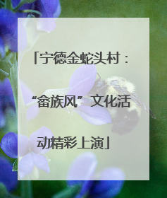 宁德金蛇头村：“畲族风”文化活动精彩上演