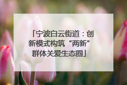 宁波白云街道：创新模式构筑“两新”群体关爱生态圈