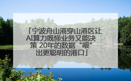 宁波舟山港穿山港区让AI算力既懂业务又能决策 20年的数据“喂”出更聪明的港口