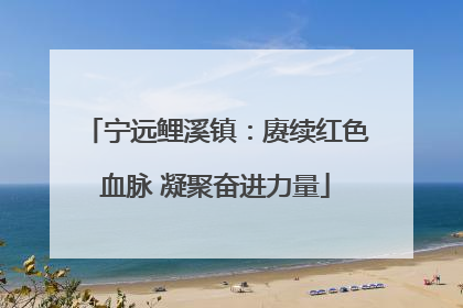 宁远鲤溪镇：赓续红色血脉 凝聚奋进力量