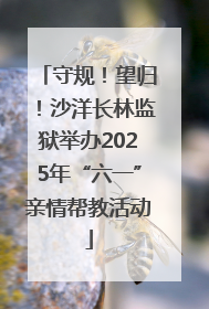 守规！望归！沙洋长林监狱举办2025年“六一”亲情帮教活动