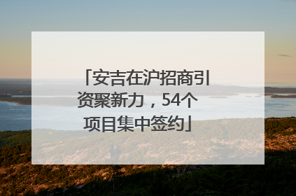 安吉在沪招商引资聚新力，54个项目集中签约