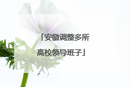 安徽调整多所高校领导班子