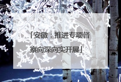 安徽：推进专项督察向深向实开展