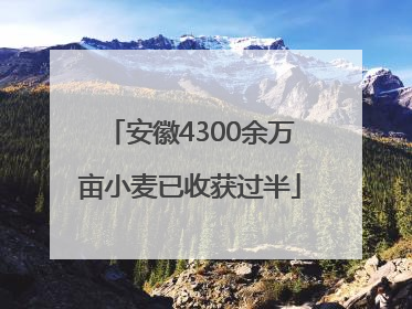 安徽4300余万亩小麦已收获过半