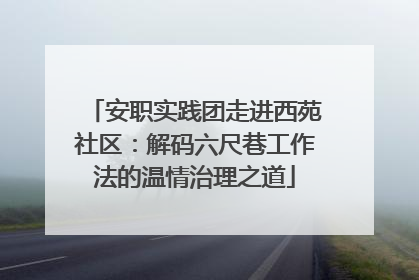 安职实践团走进西苑社区：解码六尺巷工作法的温情治理之道
