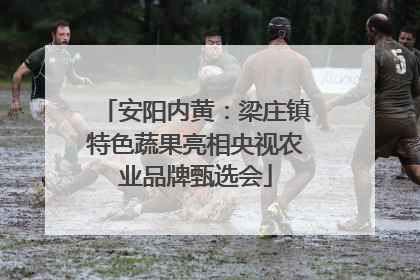 安阳内黄：梁庄镇特色蔬果亮相央视农业品牌甄选会
