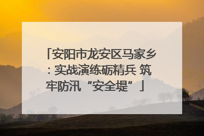 安阳市龙安区马家乡：实战演练砺精兵 筑牢防汛“安全堤”