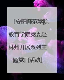 安阳师范学院教育学院党委赴林州开展系列主题党日活动