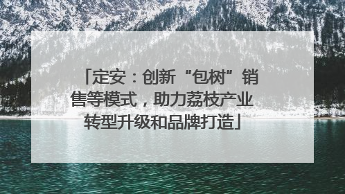 定安：创新“包树”销售等模式，助力荔枝产业转型升级和品牌打造