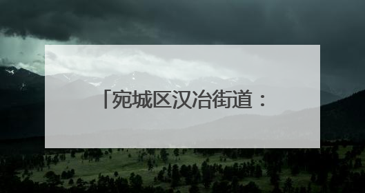 宛城区汉冶街道：党员干部进企业 精准服务促发展