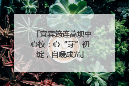 宜宾筠连蒿坝中心校：心“芽”初绽，自暖成光