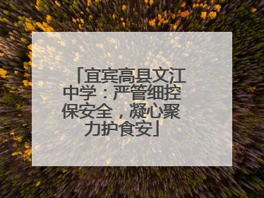 宜宾高县文江中学：严管细控保安全，凝心聚力护食安