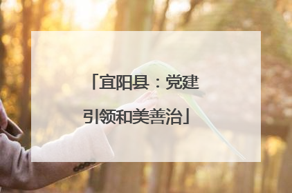 宜阳县：党建引领和美善治