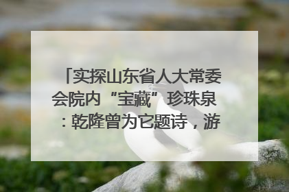 实探山东省人大常委会院内“宝藏”珍珠泉：乾隆曾为它题诗，游客无需预约免费游览