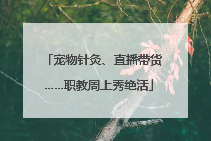宠物针灸、直播带货……职教周上秀绝活