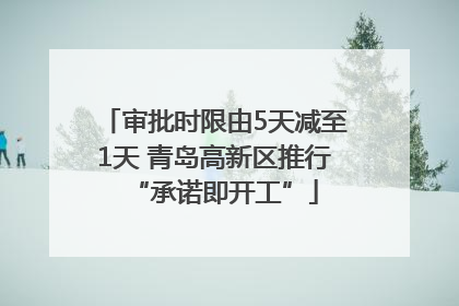 审批时限由5天减至1天 青岛高新区推行“承诺即开工”