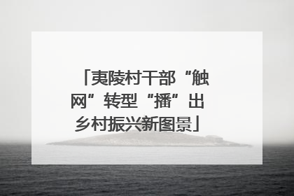 夷陵村干部“触网”转型“播”出乡村振兴新图景