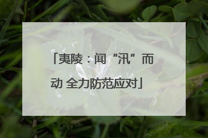 夷陵：闻“汛”而动 全力防范应对