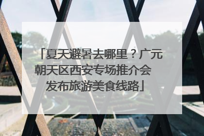 夏天避暑去哪里？广元朝天区西安专场推介会 发布旅游美食线路