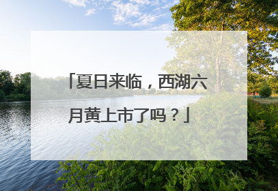 夏日来临，西湖六月黄上市了吗？