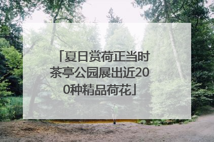 夏日赏荷正当时 茶亭公园展出近200种精品荷花