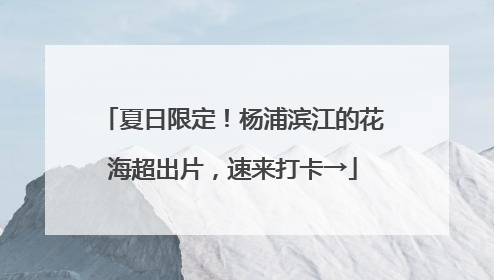 夏日限定！杨浦滨江的花海超出片，速来打卡→