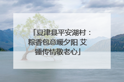 夏津县平安湖村：粽香包意暖夕阳 艾锤传情敬老心