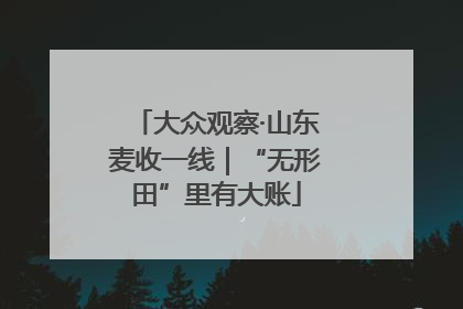 大众观察·山东麦收一线｜“无形田”里有大账