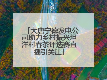 大唐宁德发电公司助力乡村振兴坦洋村春茶评选赛直播引关注