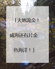 大地流金！威海还有片金色海洋！