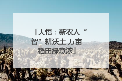 大悟：新农人“智”耕沃土 万亩稻田绿意浓
