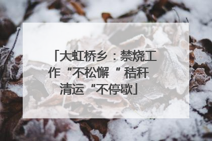 大虹桥乡：禁烧工作“不松懈“ 秸秆清运“不停歇