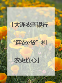 大连农商银行“连农e贷”利农更连心