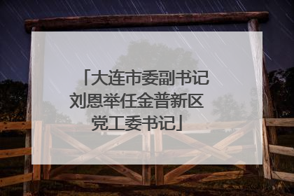 大连市委副书记刘恩举任金普新区党工委书记