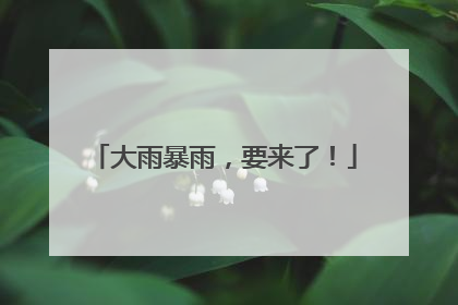 大雨暴雨，要来了！