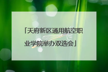 天府新区通用航空职业学院举办双选会