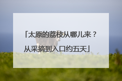 太原的荔枝从哪儿来？从采摘到入口约五天