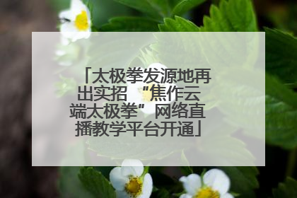 太极拳发源地再出实招 “焦作云端太极拳”网络直播教学平台开通