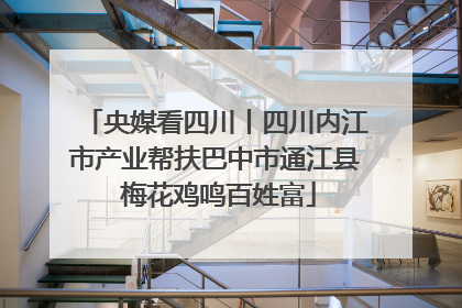 央媒看四川丨四川内江市产业帮扶巴中市通江县 梅花鸡鸣百姓富