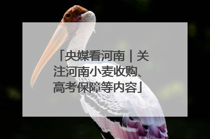 央媒看河南｜关注河南小麦收购、高考保障等内容