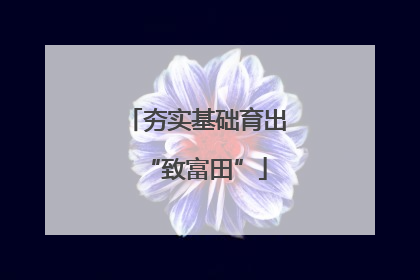夯实基础育出“致富田”