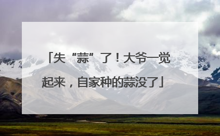 失“蒜”了！大爷一觉起来，自家种的蒜没了