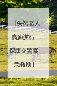 失智老人高速逆行 保康交警紧急救助